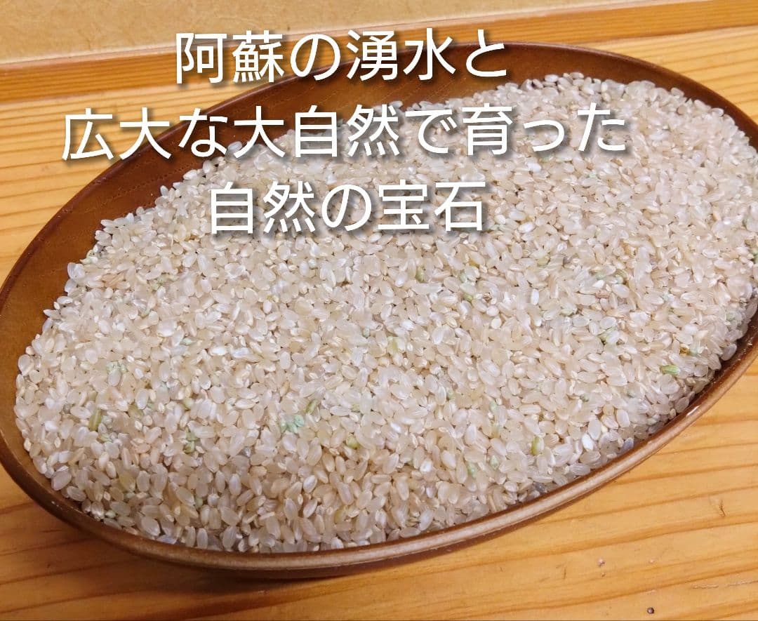 令和7年 自然栽培米 亀の尾20kg玄米