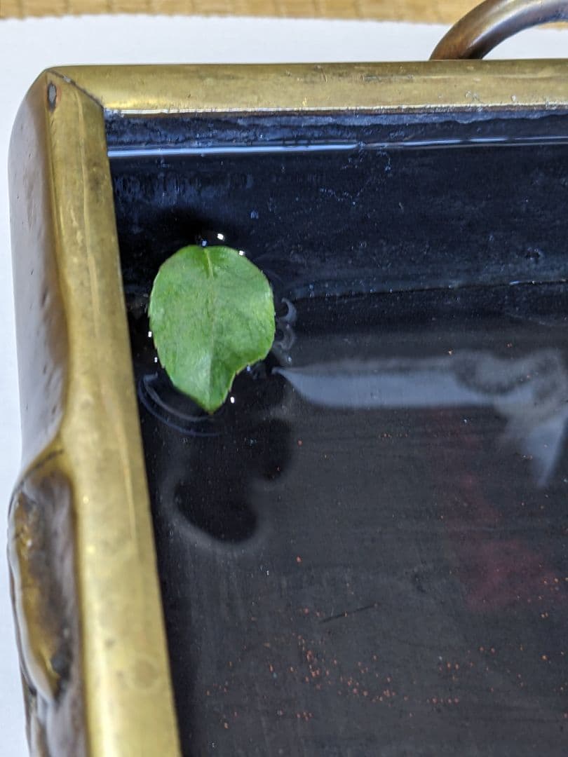 ♦中国古玩 大明宣徳 松笠 四つ足 水盤 宣徳銅 コレクション骨董品アンティーク