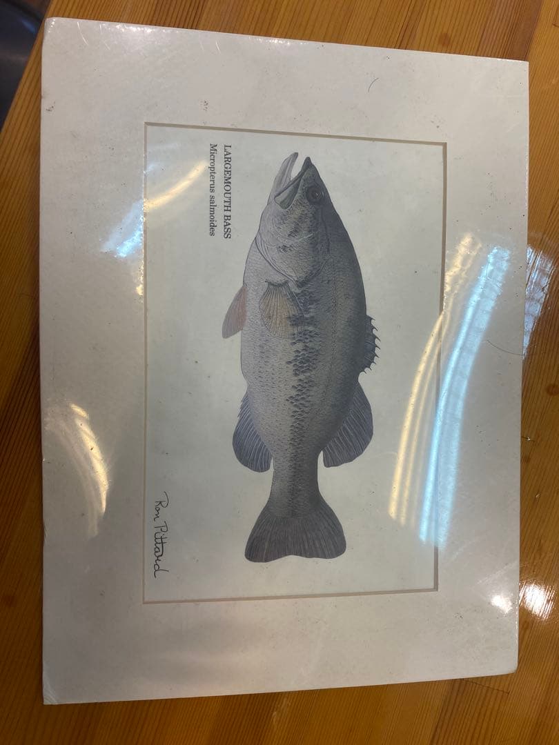 CHARMERルアーブリキ看板とバスのイラストセット　ブラックバス　ヘドン