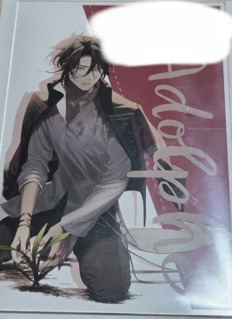 オトファン アドルフ アクリルブロマイド オトメイト あたり