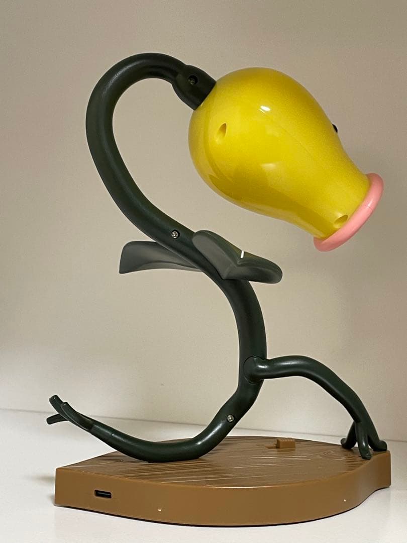 マダツボミ　ライト