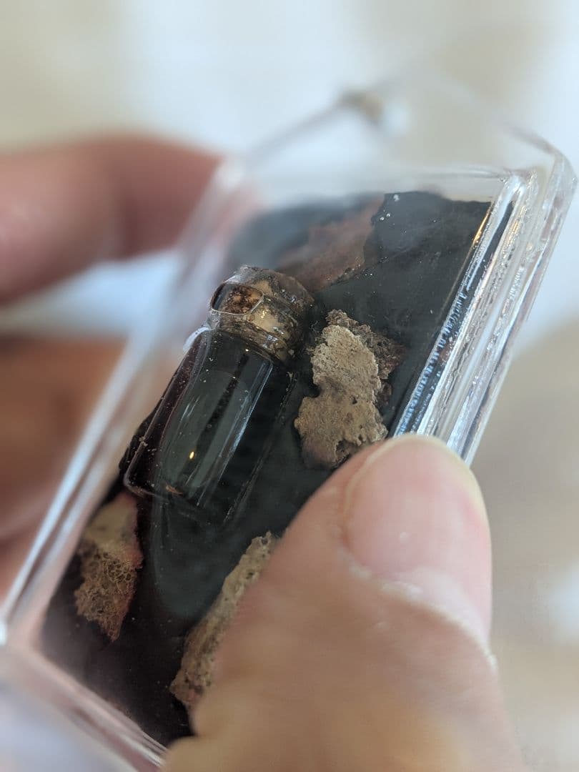 【マダム】激レア！タイのお守りプラクルアン！？ダークでクール！幸運値アップ！