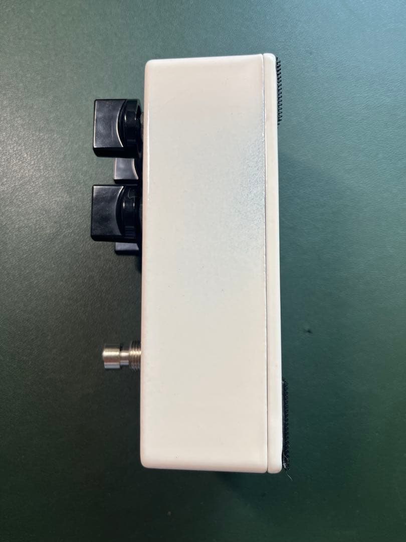 EarthQuaker Devices Dispatch Master 限定品