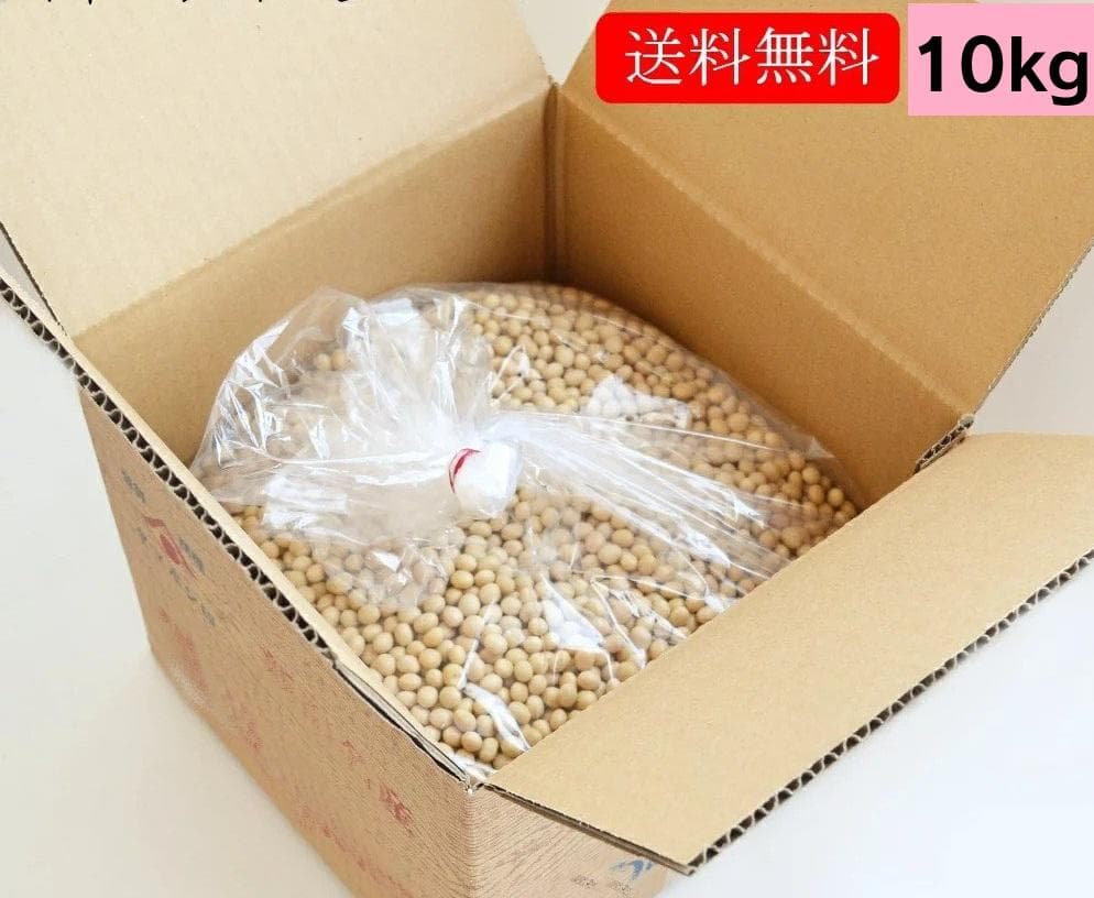 期間限定値下げ中◆超美肌ミヤギシロメ大豆 令和7年産 10kg★有機栽培ダイズ★