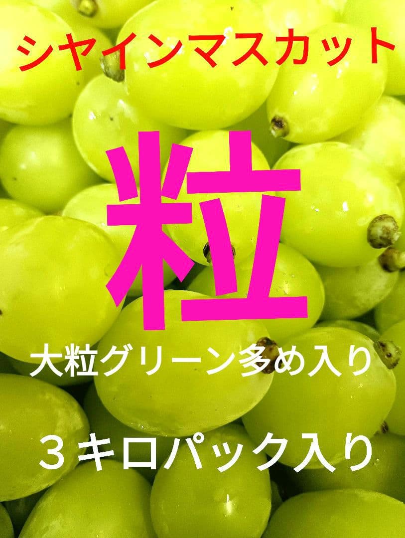 シヤインマスカット大粒グリーン多めの粒３キロパック入り