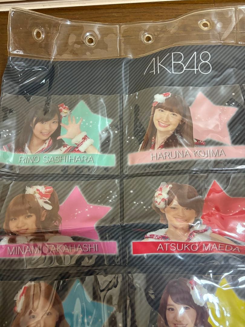 AKB48 メンバー写真 コレクション 12枚 タペストリー小物入れ