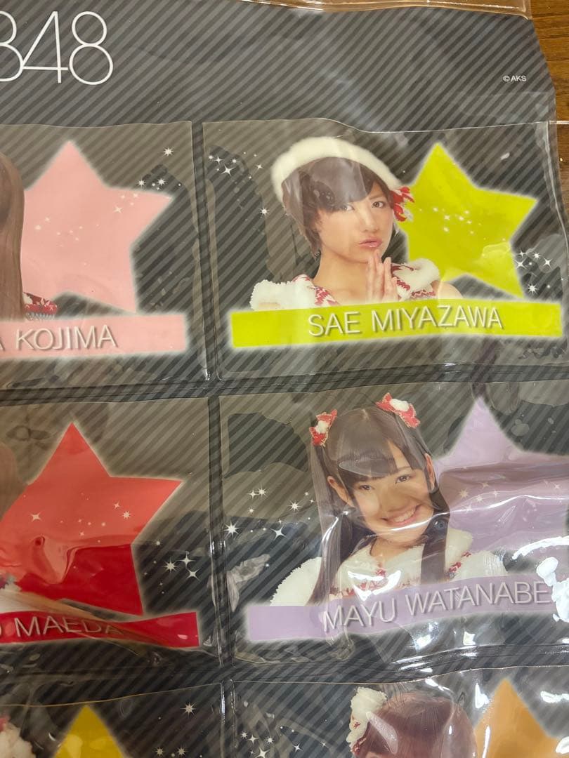 AKB48 メンバー写真 コレクション 12枚 タペストリー小物入れ