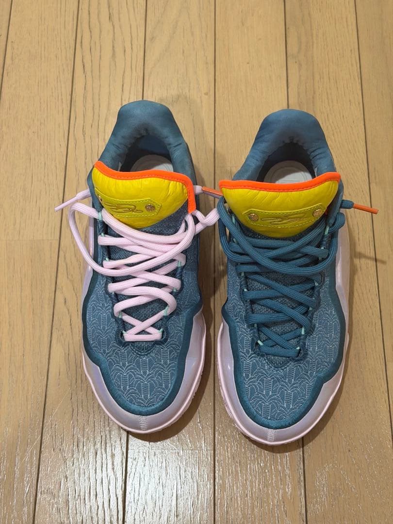 NIKE LEBRON XXIII ナイキ レブロン23 26cm