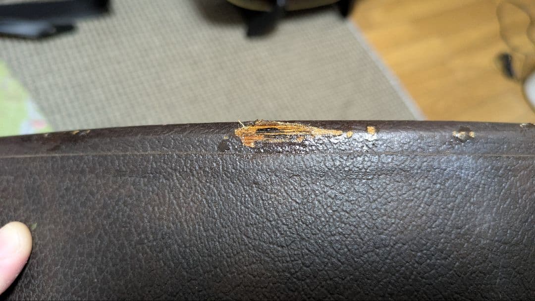 Takamine NPT-012BS【希少・名機】純正ハードケース付