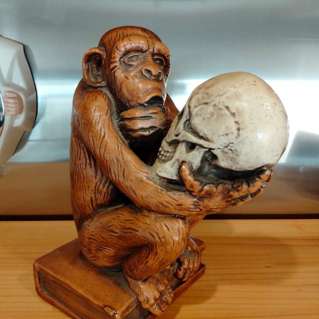 b*x様 1963年　ダーウィン　スカル　ドクロ　モンキー　ビンテージ レア