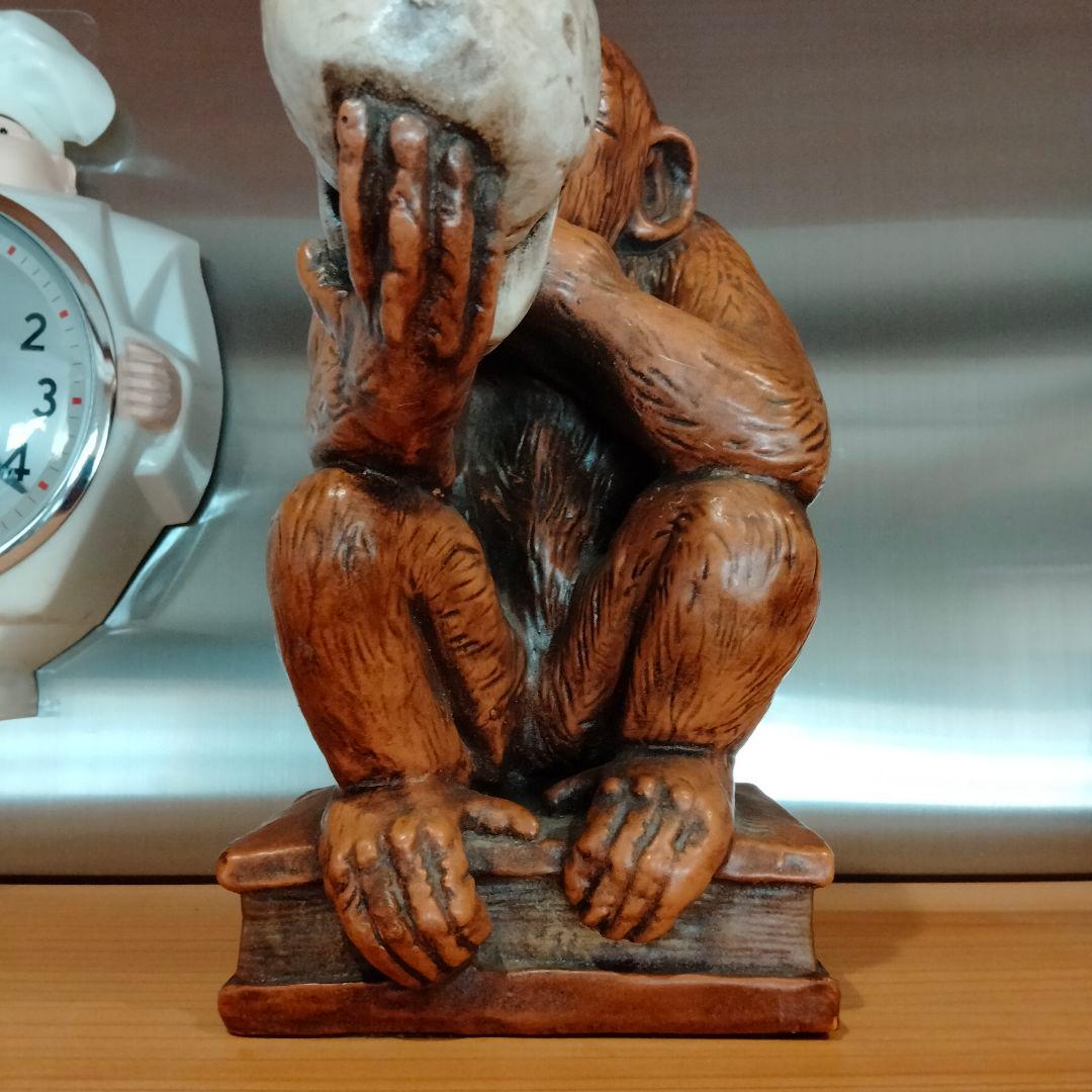 b*x様 1963年　ダーウィン　スカル　ドクロ　モンキー　ビンテージ レア