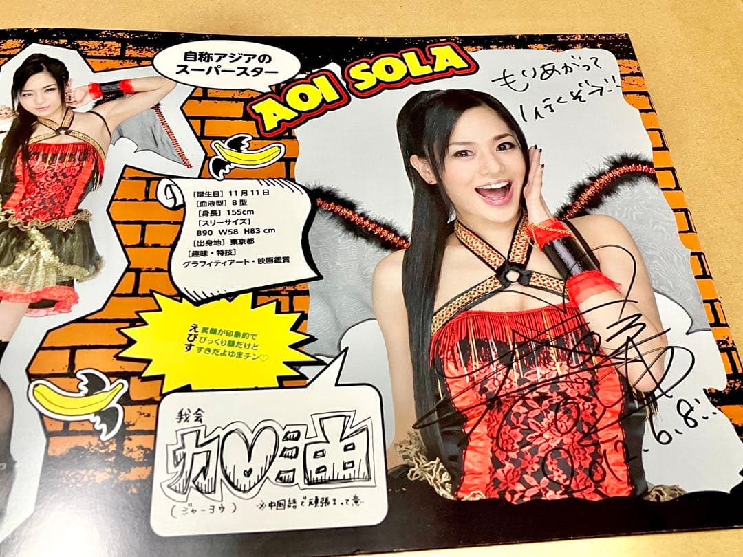 恵比寿マスカッツ 直筆サイン入り パンフレット Rio 吉沢明歩 蒼井そら 他