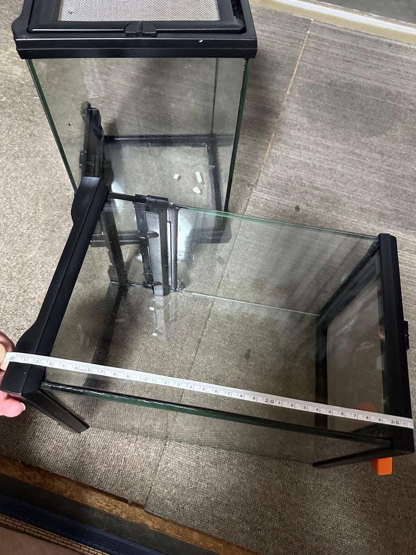 エキゾテラ　グラステラリウム2個セット　値下不可