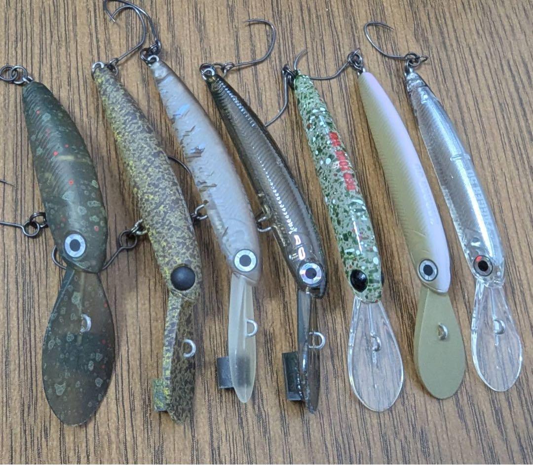 ザッカ、パニクラ　良く釣れる厳選カラー