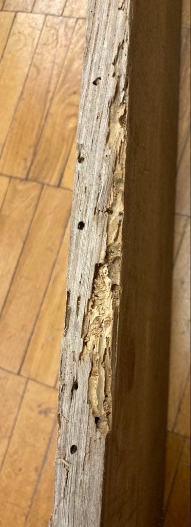 古い木製看板 東京　星製薬特約店