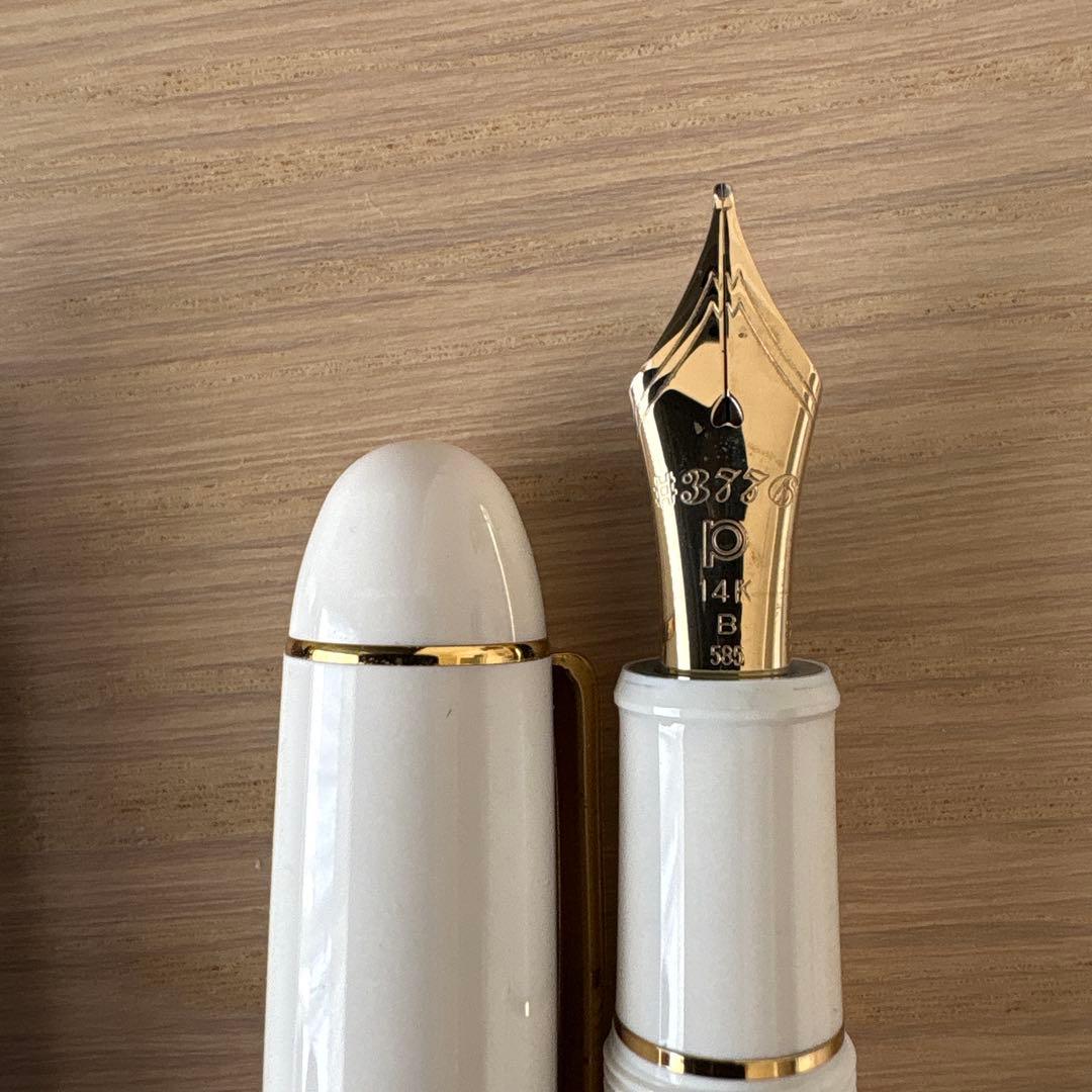 PLATINUM 万年筆 5本セット 入れ物付