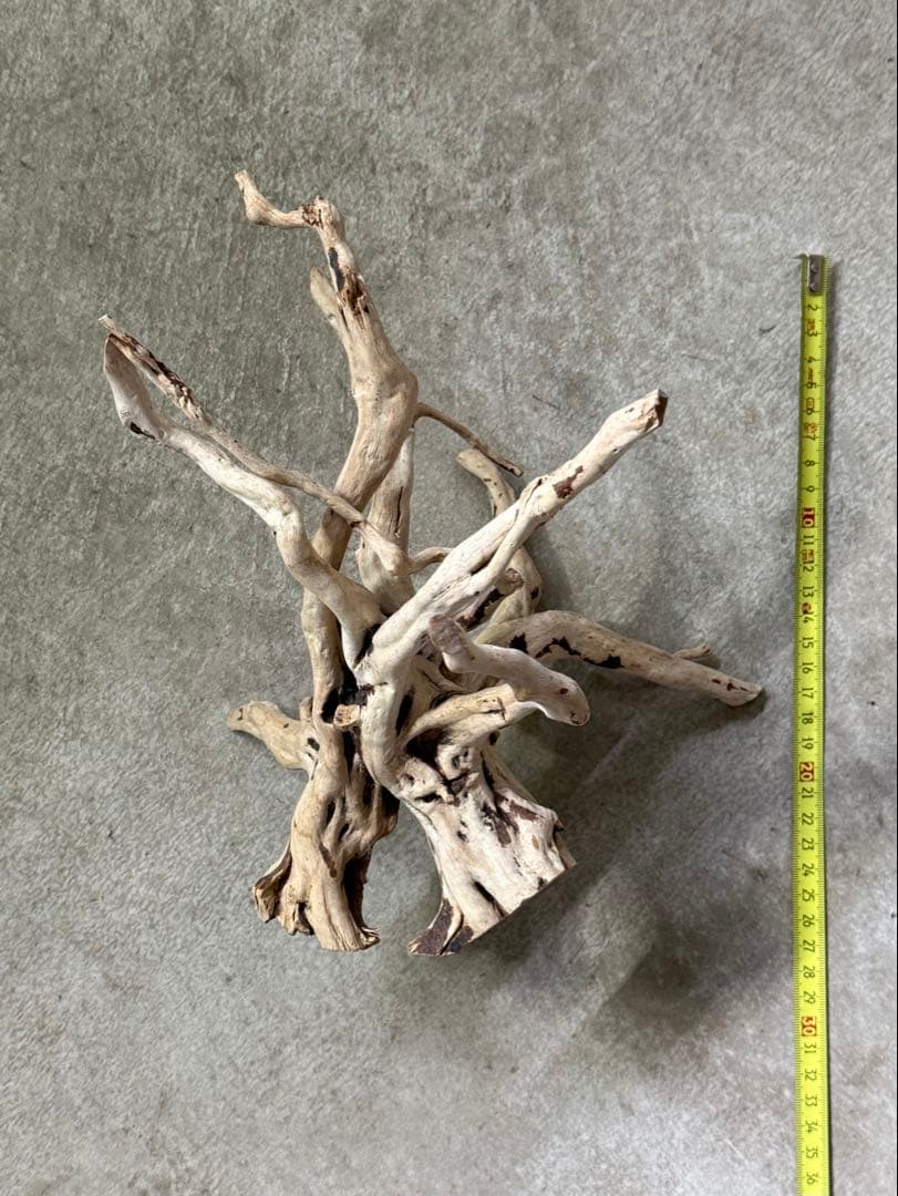 ADA ブランチウッド うす白