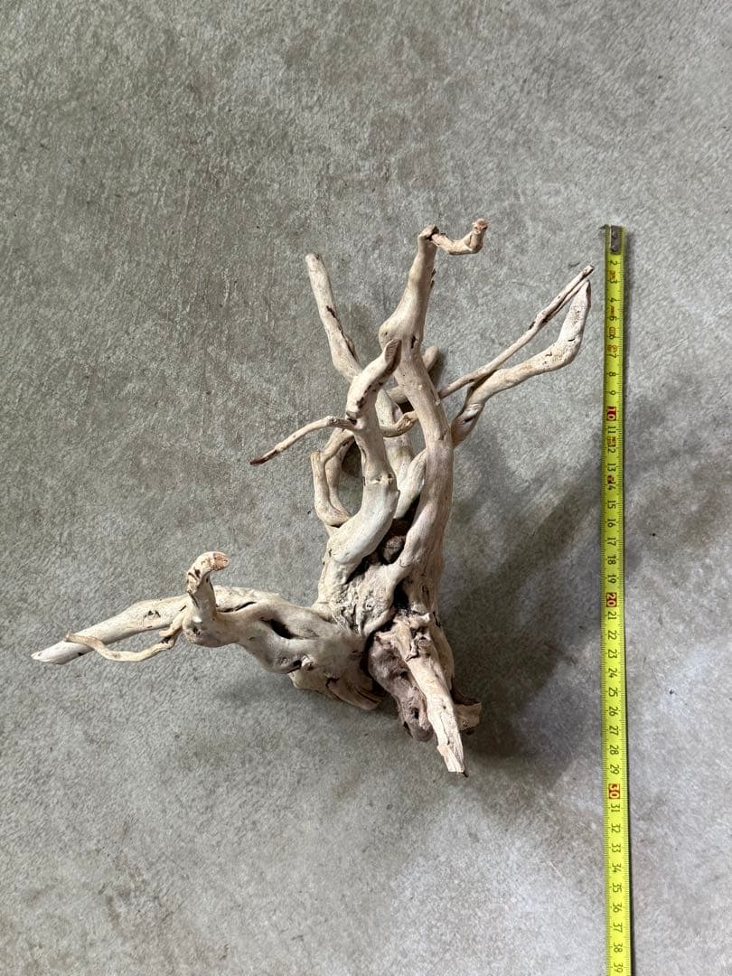 ADA ブランチウッド うす白