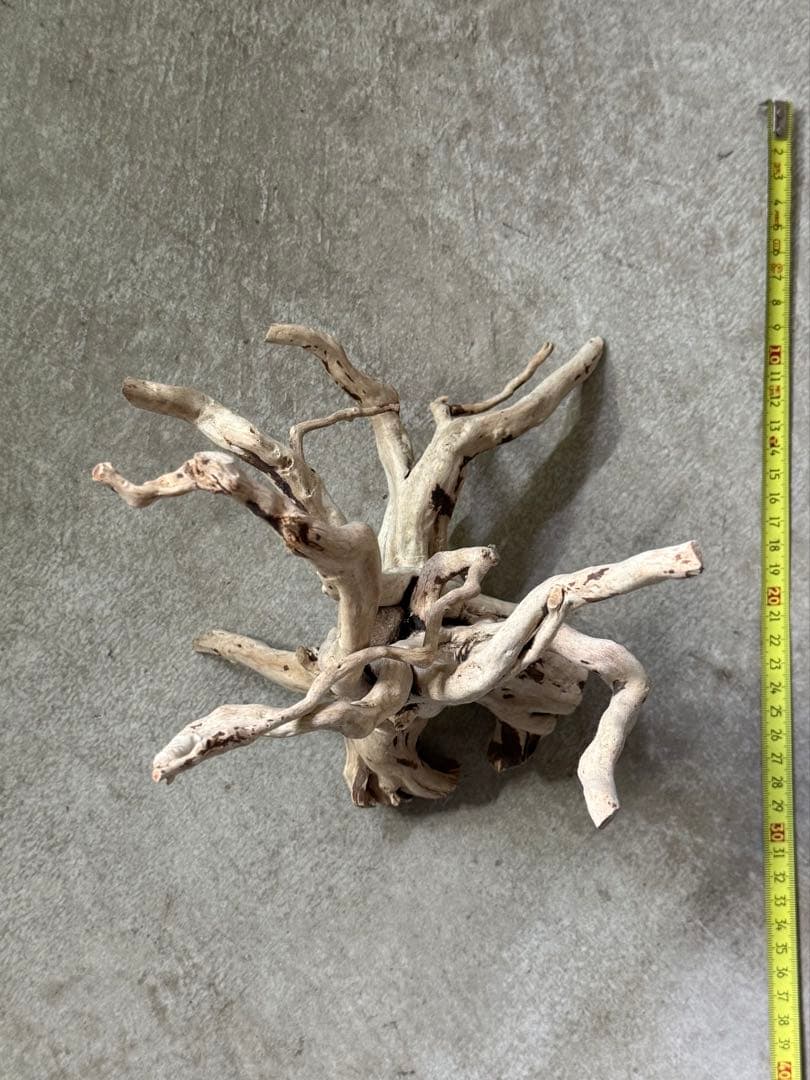 ADA ブランチウッド うす白