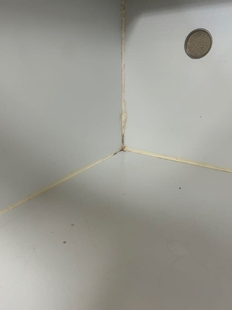 爬虫類オリジナルケージ アルミ合板　大型