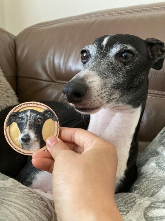 レザークラフト　本革　ペット　マグネット　アクセサリー　オーダーメイド