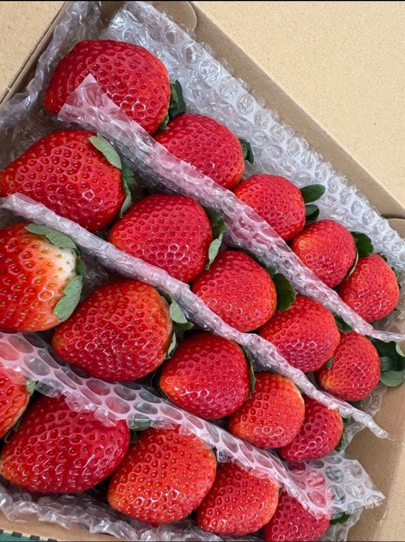 【A品】栃木県産とちあいか　【ミツララいちご】 農家直送 3箱マロン