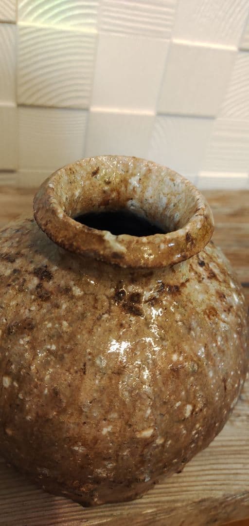 信楽　踞壺　谷清右衛門　一苔　共箱