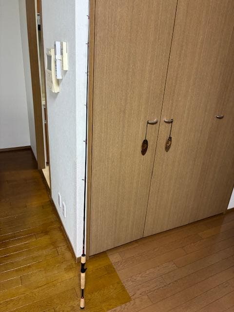 名竿　フェンウィック ゴールデンウィングツアーエディション　GWT66CMLJ