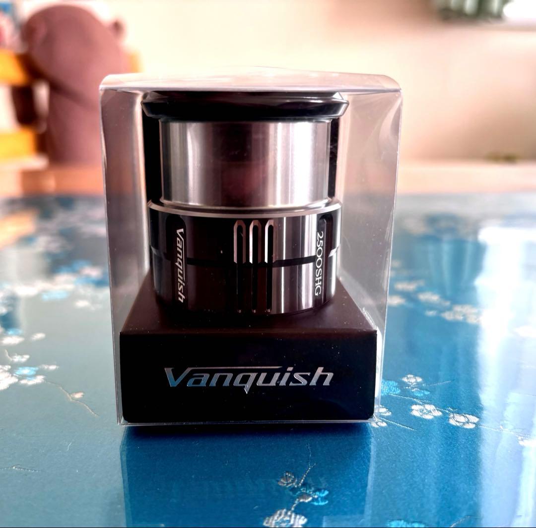 美品　19Vanquish 2500 C3000 スペアスプール