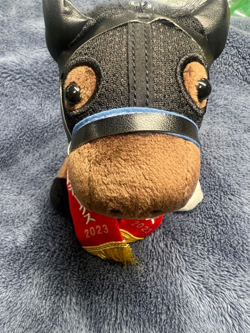 スルーセブンシーズ　アイドルホース