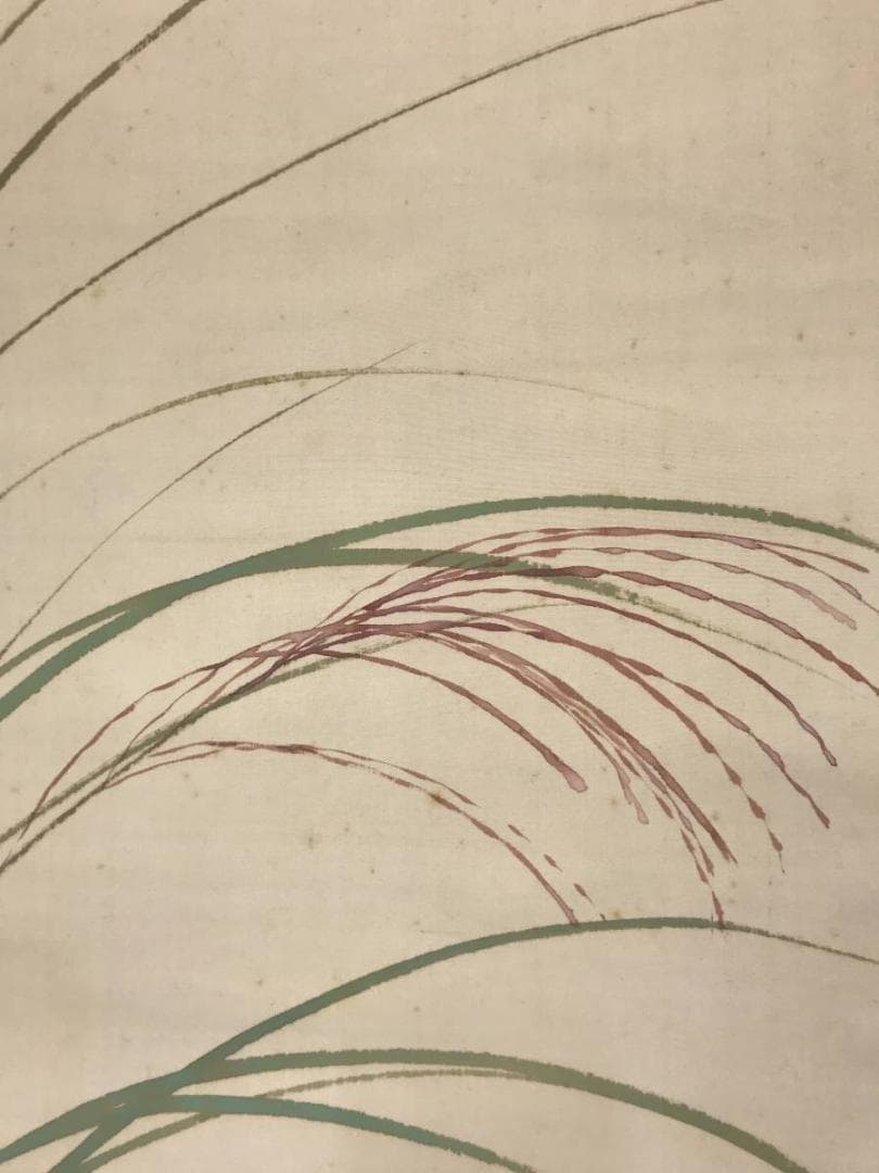 【真作】佐野五風/秋草図/草花図/掛軸/名家伝来/AC-479