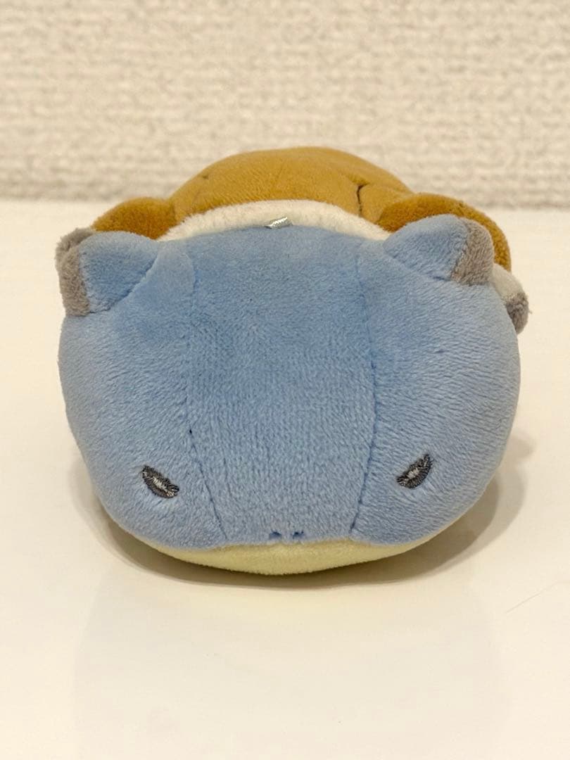 ポケモン　カメックス　マジパン　ポケモンセンター