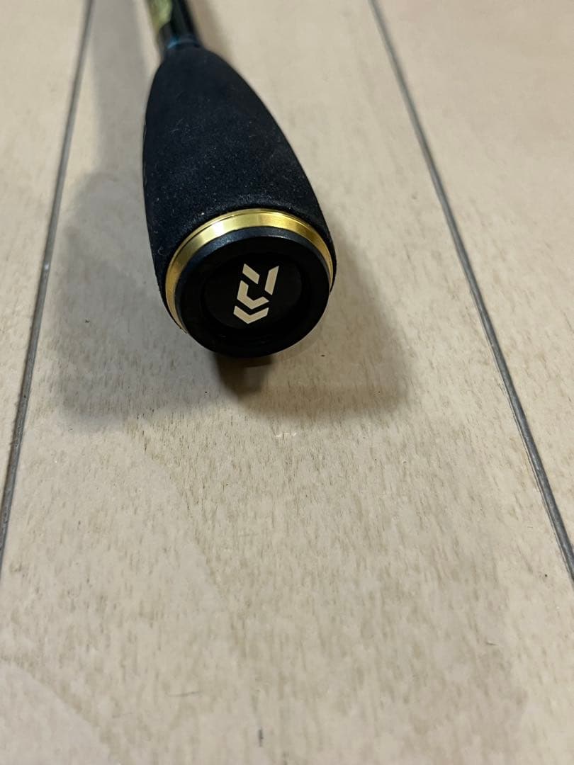 ダイワDAIWA チニングロッドSALTISTソルティストAGS CN79LML