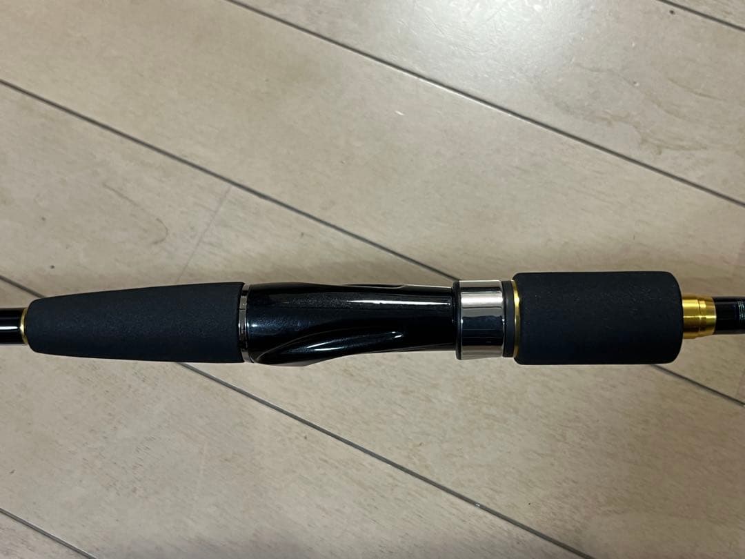 ダイワDAIWA チニングロッドSALTISTソルティストAGS CN79LML