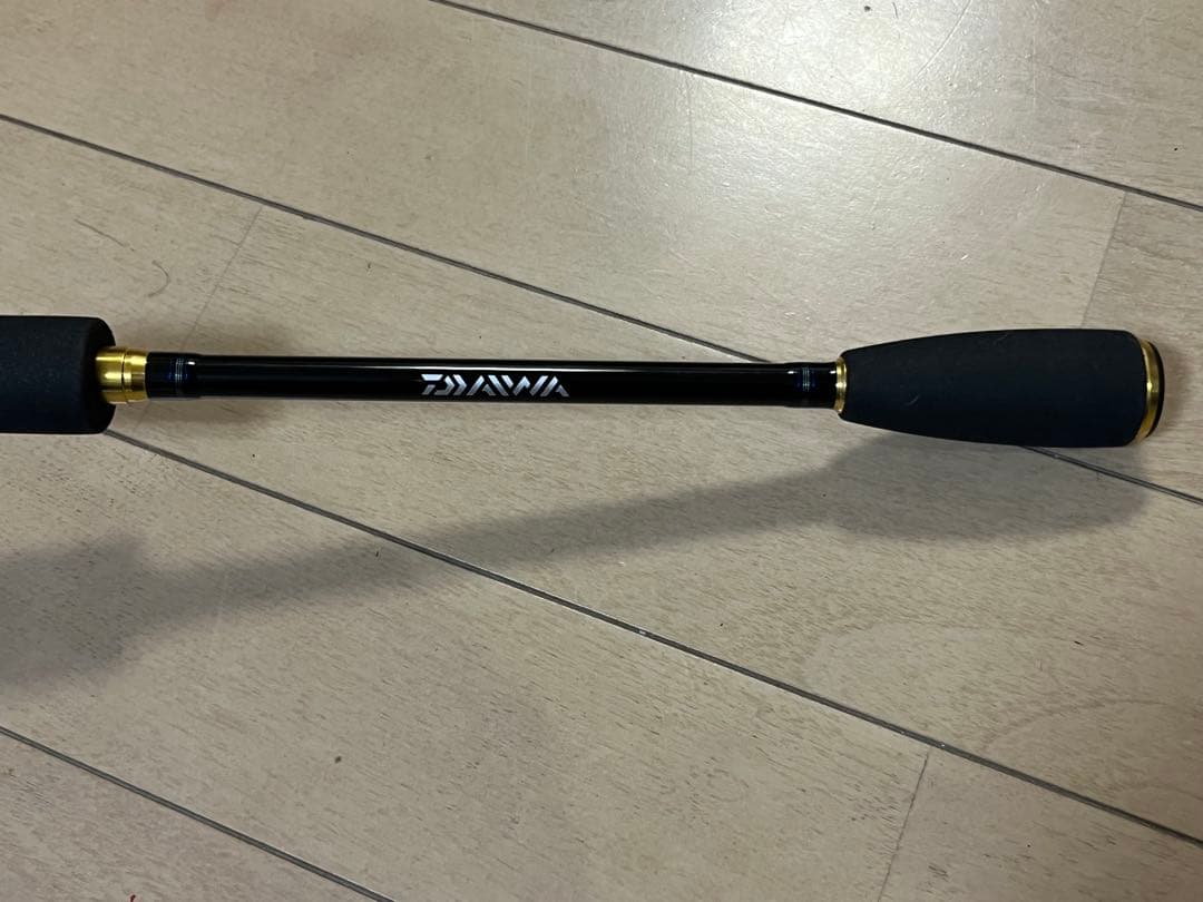 ダイワDAIWA チニングロッドSALTISTソルティストAGS CN79LML