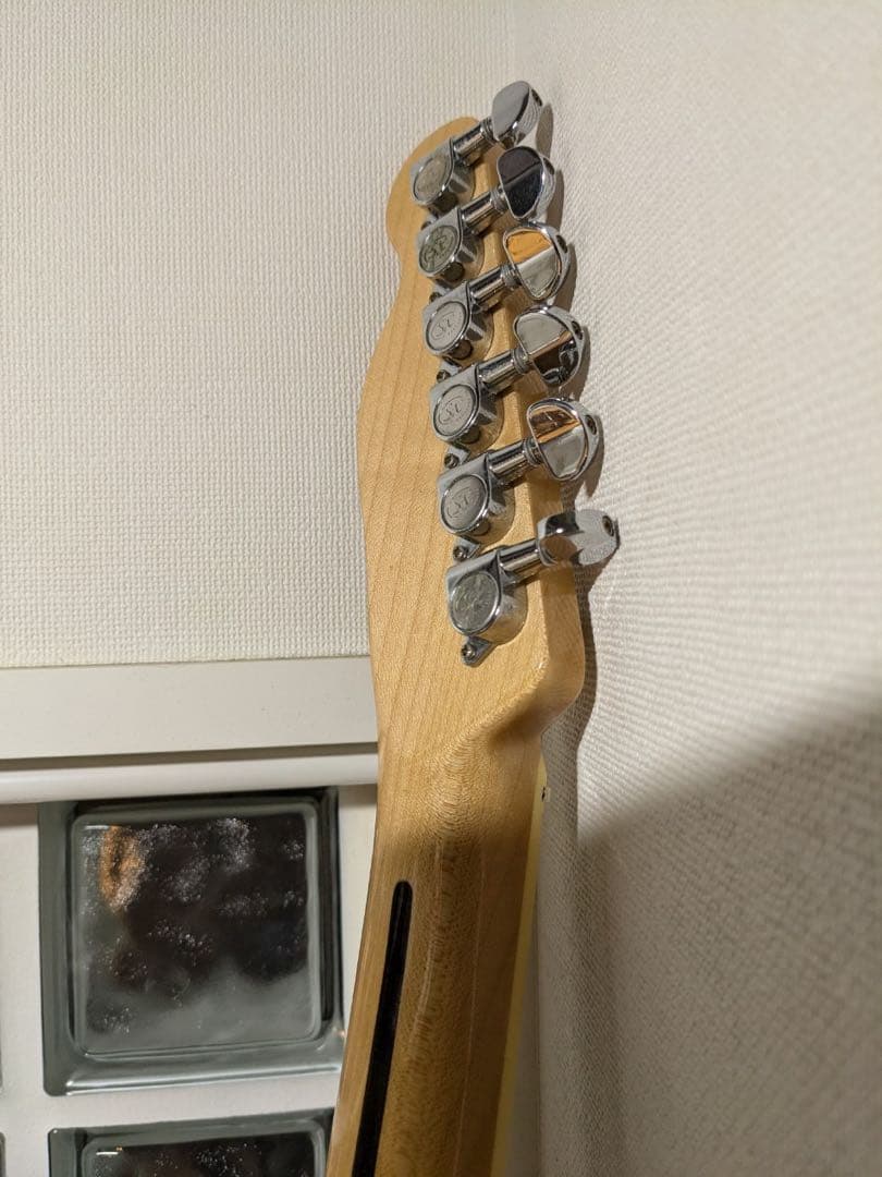 SX Telecaster Thinline (改造)