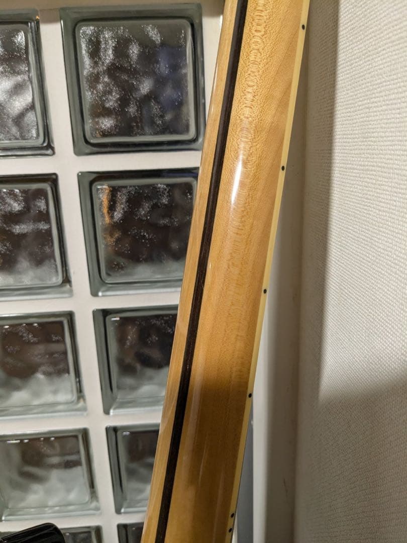 SX Telecaster Thinline (改造)