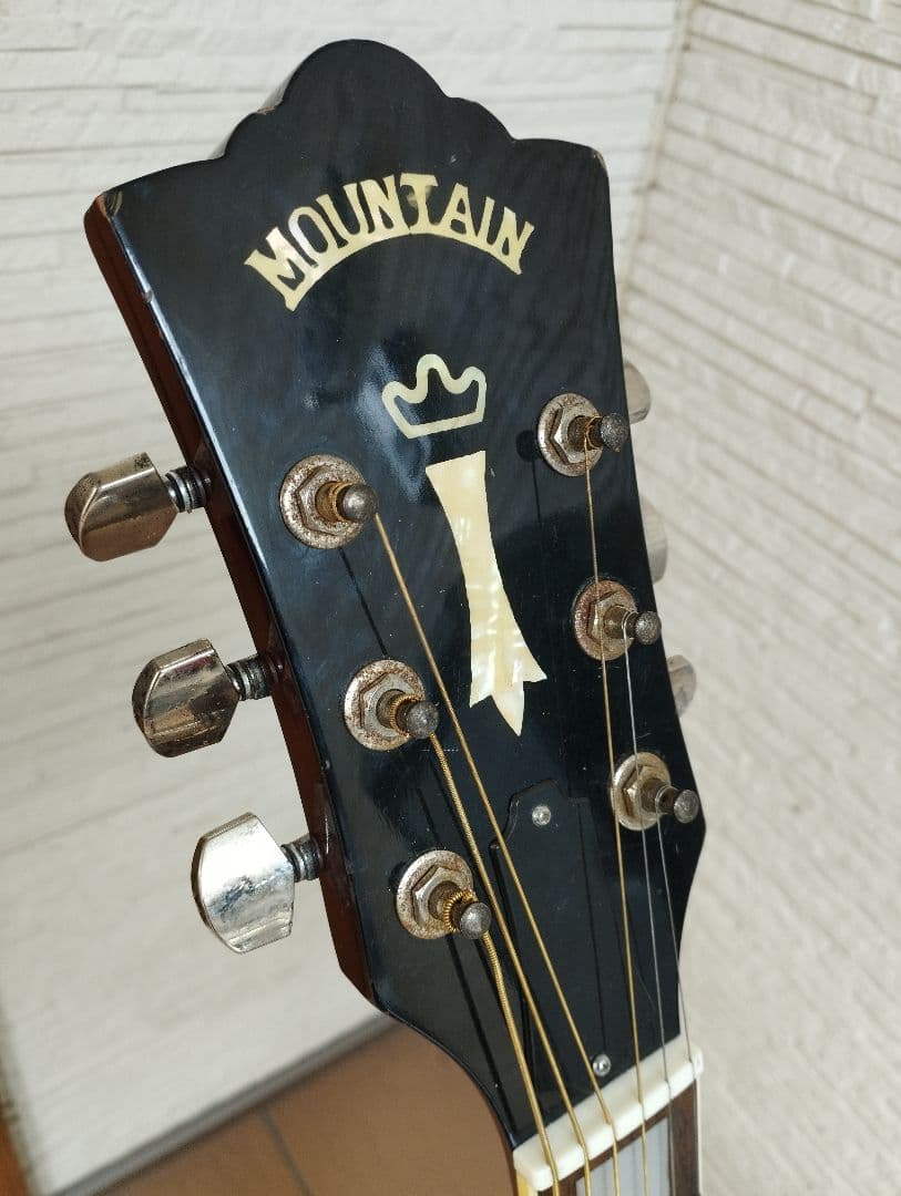 マウンテン＜W-450＞日本製・林楽器製作・トップ単板 guildタイプ