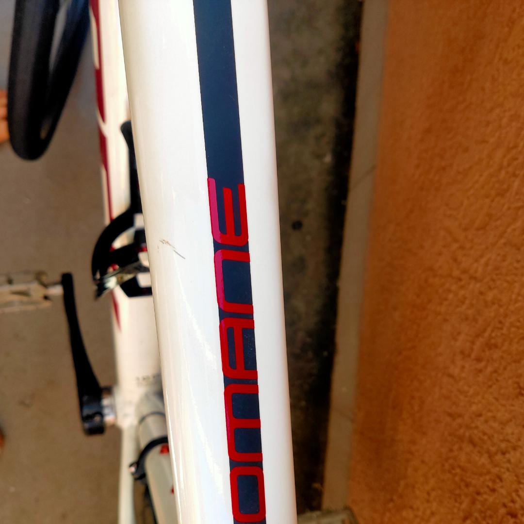 TREKドマーネAl3ディスク 2022 まほ