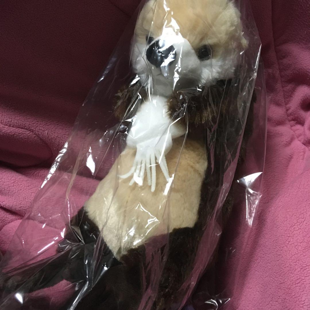 マリンワールド　doudouともだちラッコ　1点