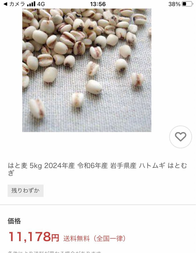 すずやのはと麦 8kg 岩手県産 ハトムギ はとむぎ 真空パック