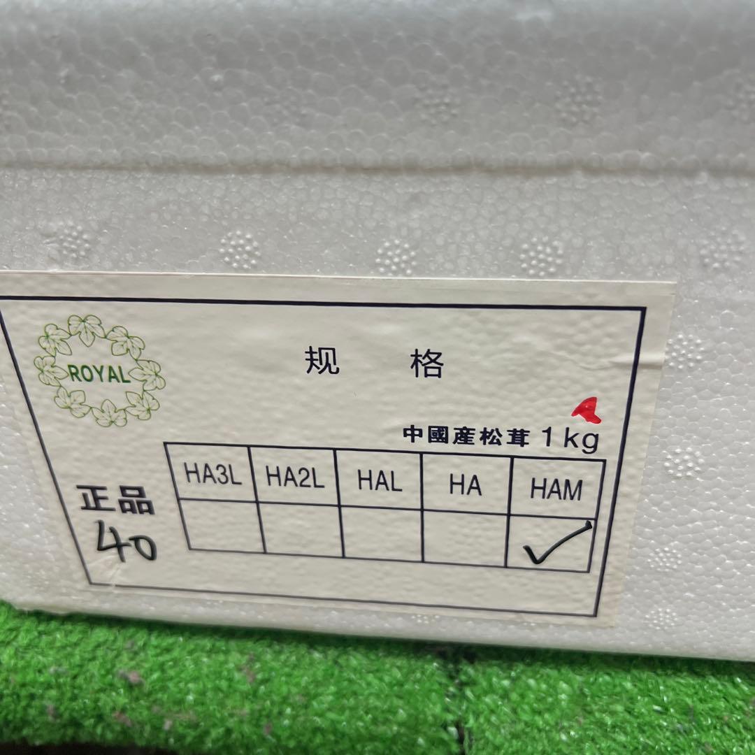 めっちゃ綺麗！ 超新鮮中国産松茸 約1キロ入り 40本入り