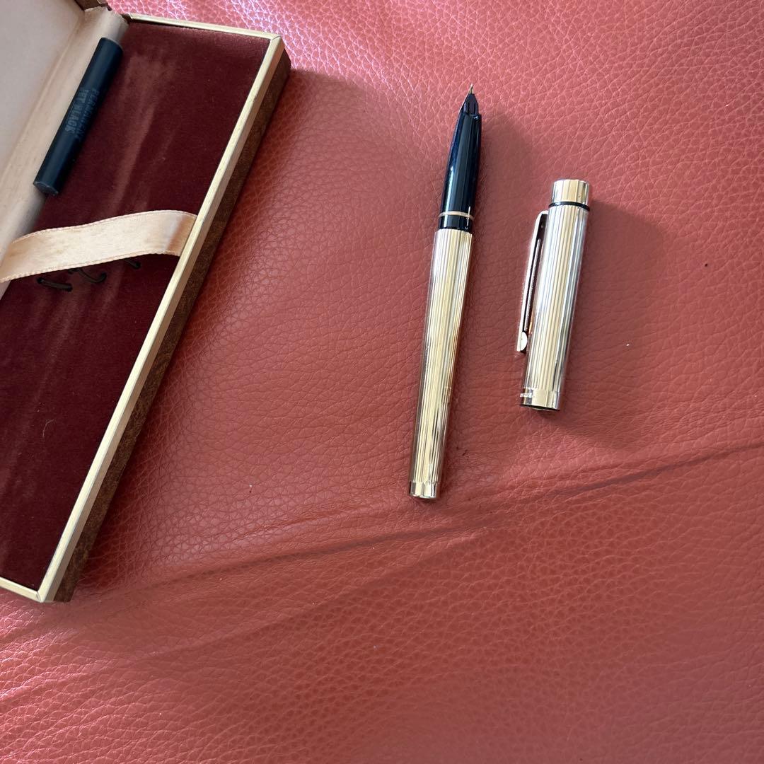 Sheaffer Targa 万年筆 ケース付き