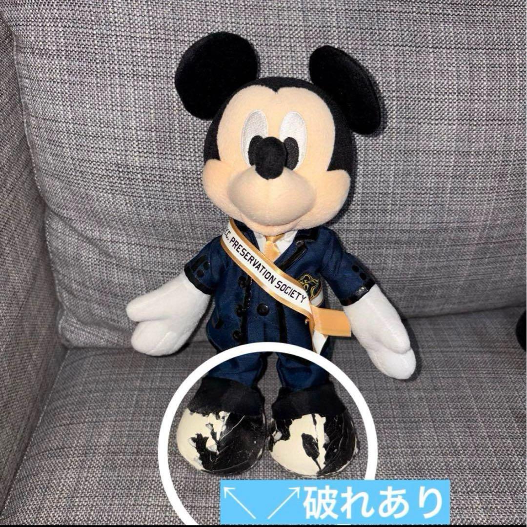 ディズニーリゾート　TDR ミッキー　ぬいぐるみバッジ　ぬいば　12体セット