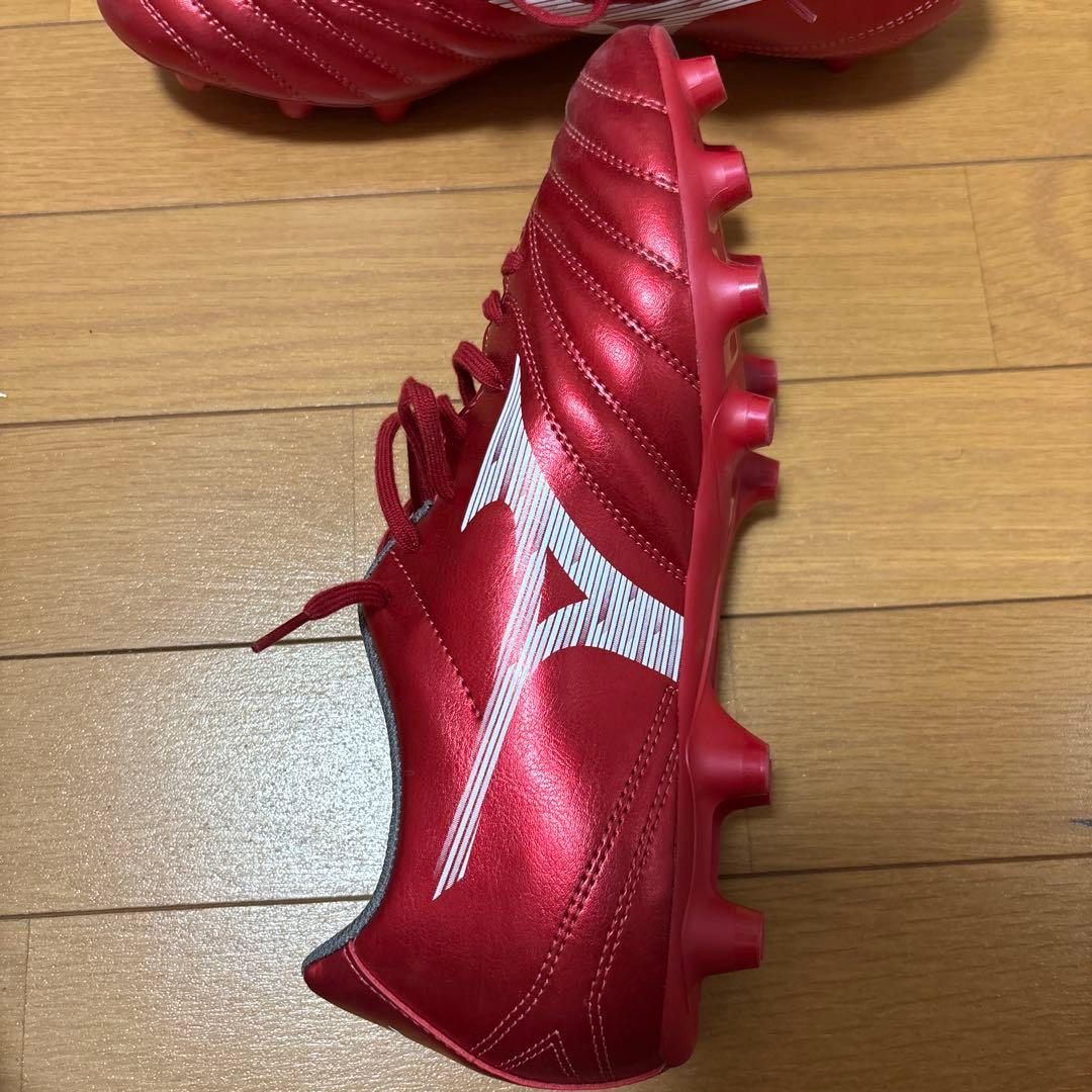 モナルシーダ赤