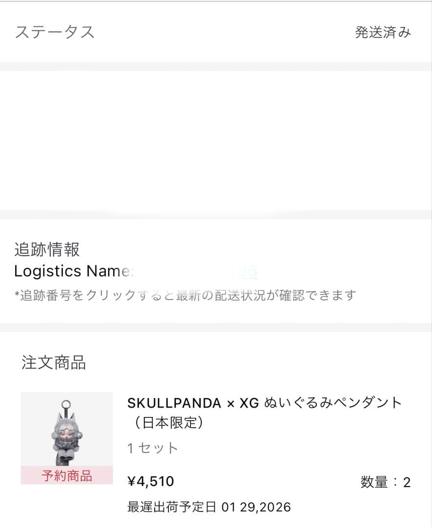 【2体セット】SKULLPAND スカルパンダ　XG コラボ