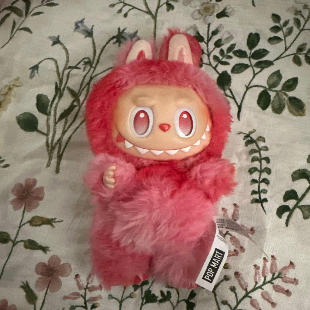 SKULLPANDA&ラブブ&WAKUKUワクク