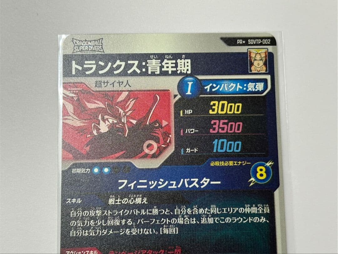 SDVTP-002 パラレル トランクス：青年期