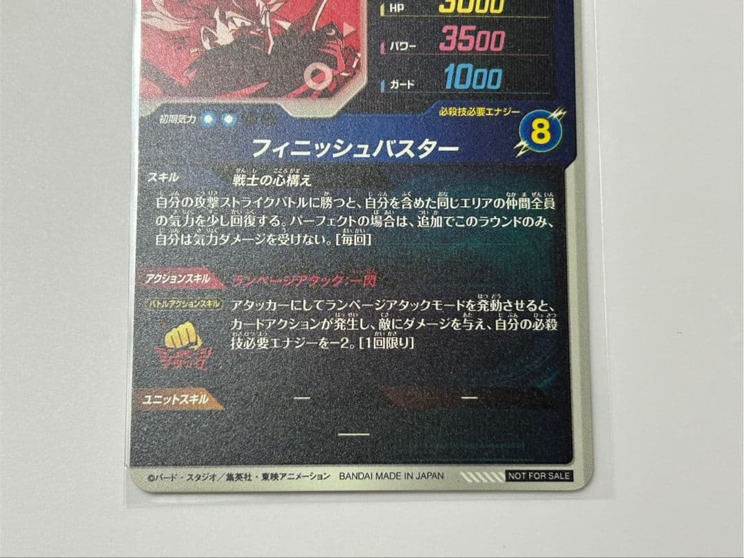 SDVTP-002 パラレル トランクス：青年期