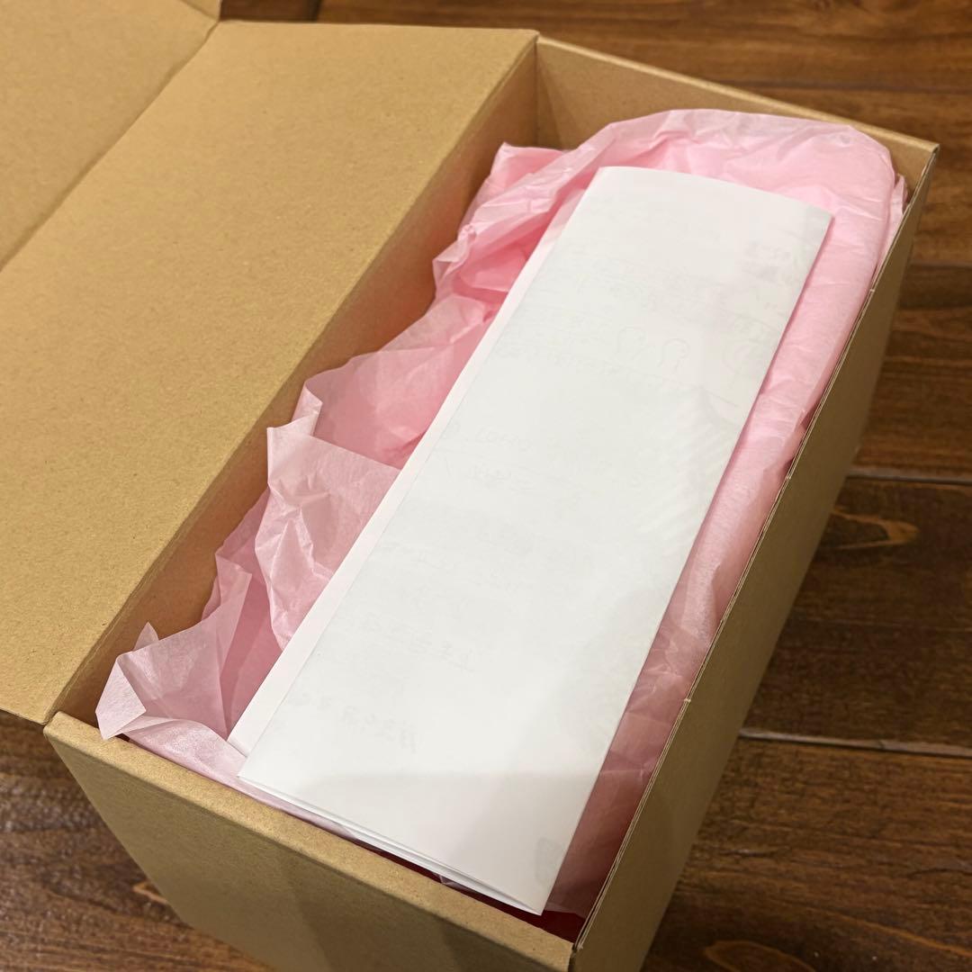 痛快娯楽劇場 原型：橋本智 パシン坊や ガレージキット【内袋未開封】